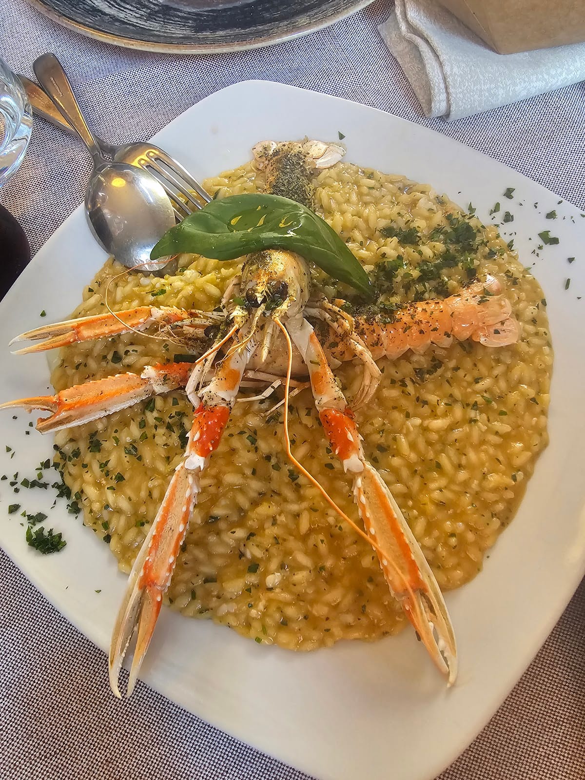 Risotto agli scampi